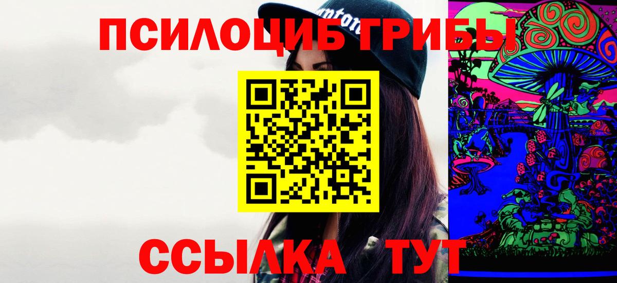 Прокопьевск  Псилоцибиновые грибы мицелий  Вход с VPN 